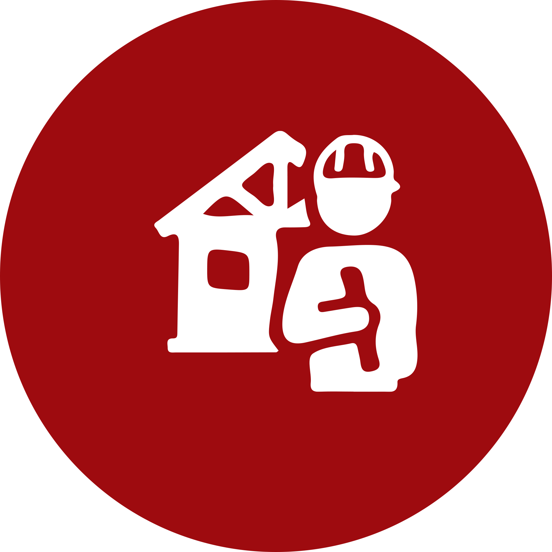 new construction phase inspection icon